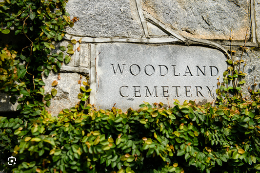 Natural Alternatives to Traditional Burial and Cremation