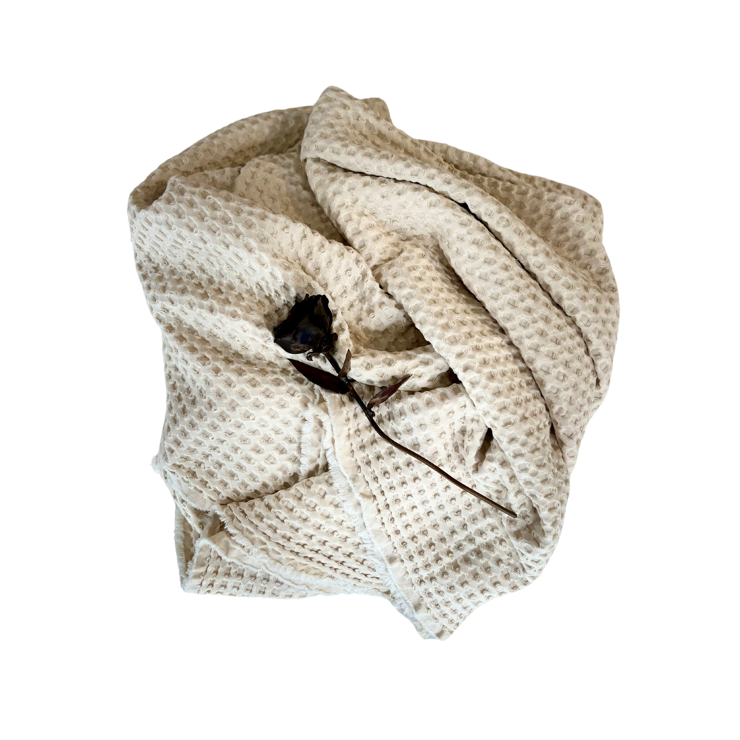 SANCTUM biodegradable burial shroud