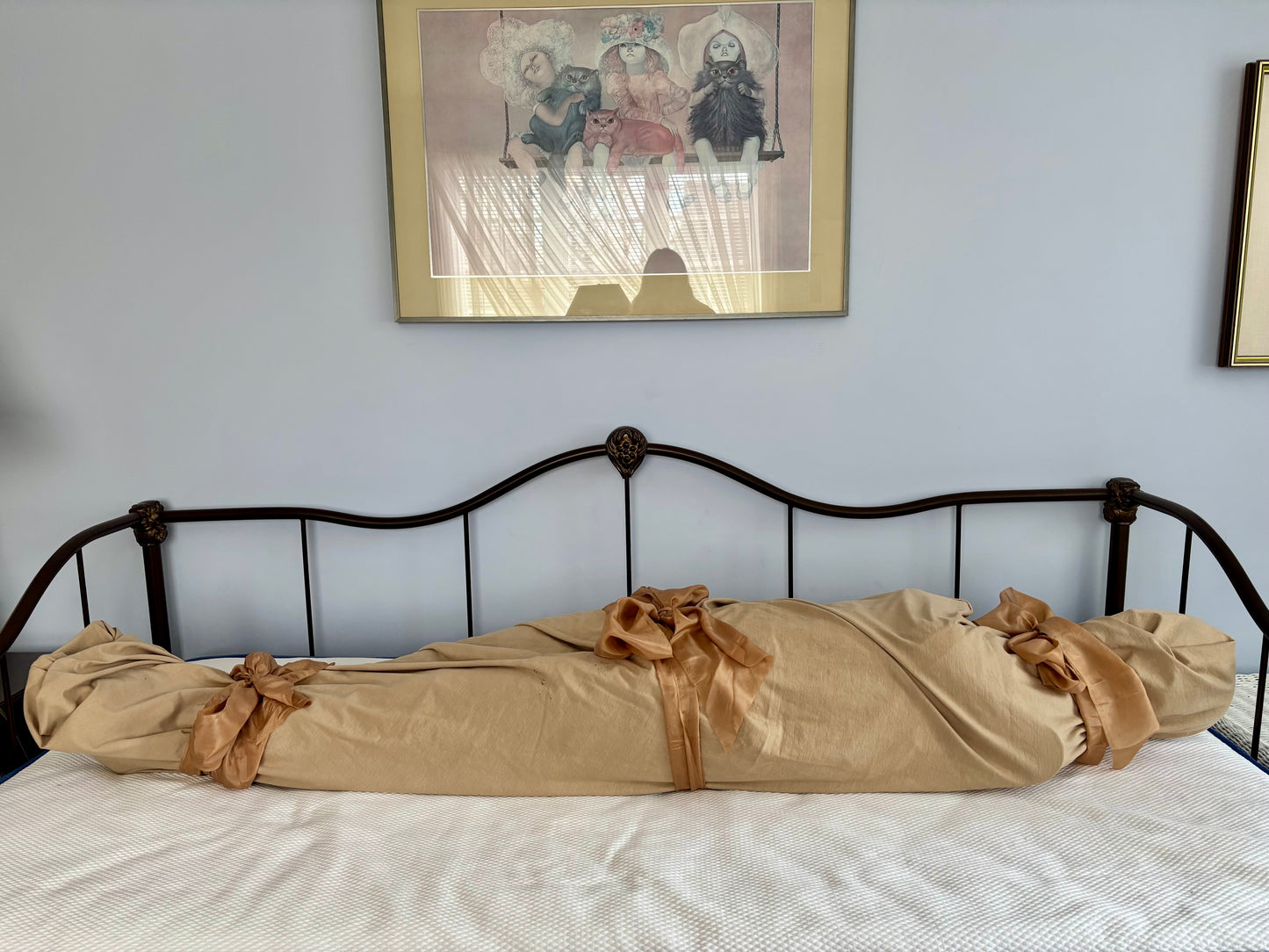 The Walnut Shroud