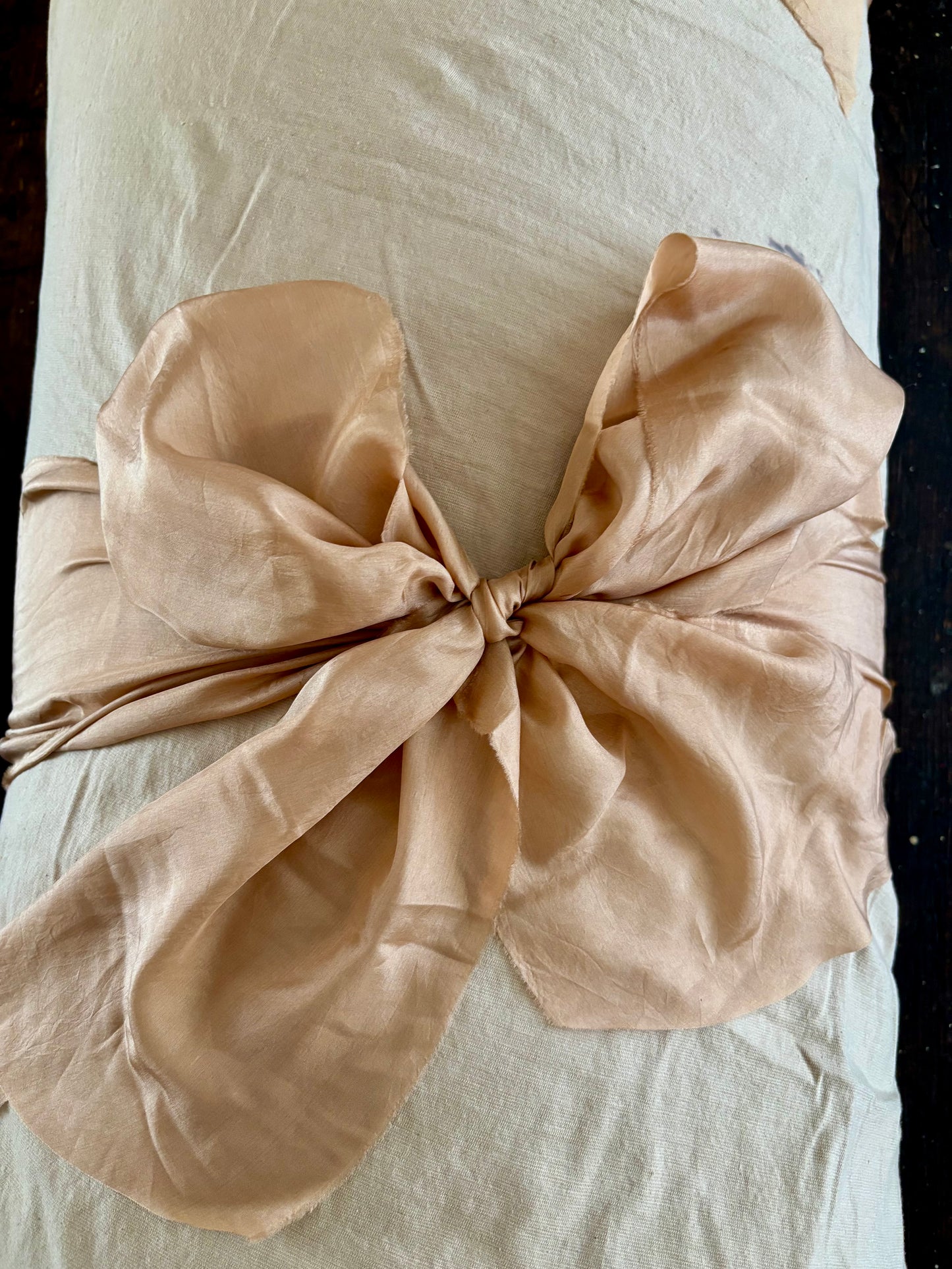 The Walnut Shroud