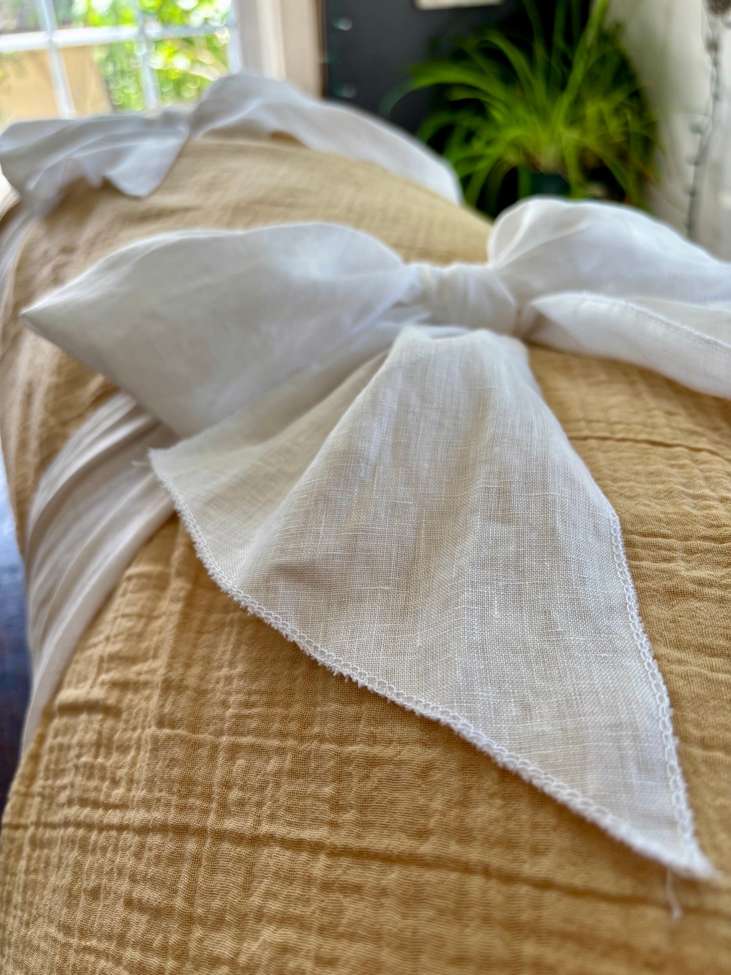 The Honey Shroud